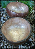 Capiz Coconut Bowl