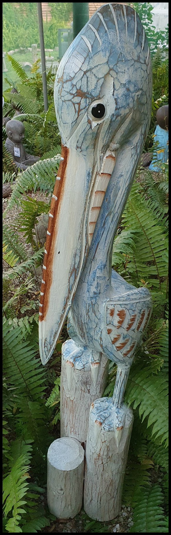 Mr Pelican