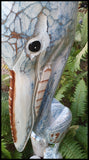 Mr Pelican
