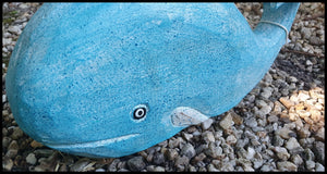 Moby Whale