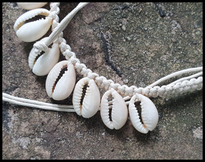 Cowrie ANK