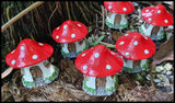 Mushroom House