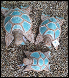 Sea Turtles