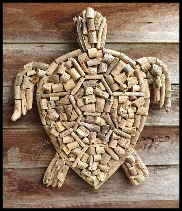 Driftwood Turtle