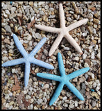 Starfish Resin